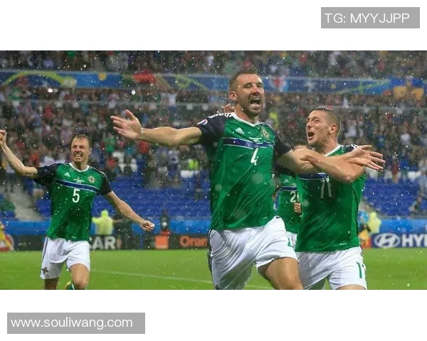 欧洲杯精彩对决爱尔兰与丹麦的激烈较量引发球迷热议