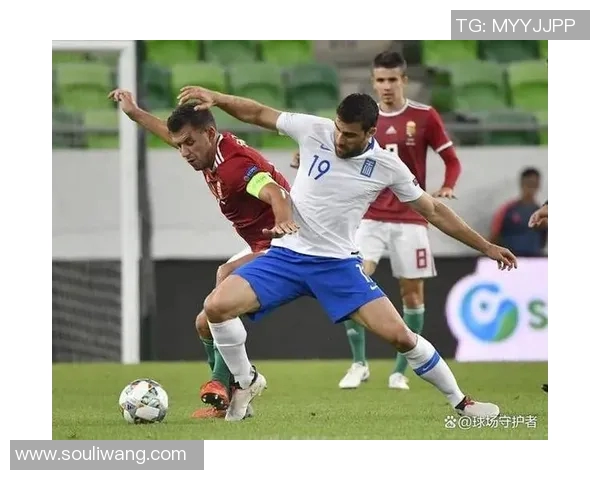 波黑与爱尔兰激战欧洲杯预选赛双方争夺晋级机会