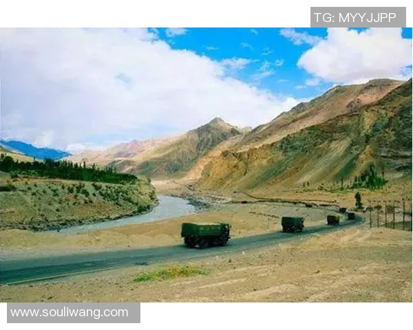 阿克西沙与标准日的精彩对决分析与战术探讨