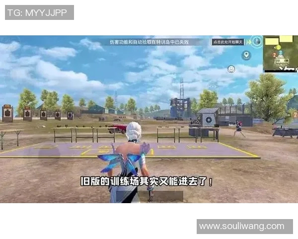 科学与和平精英结合的实力提升训练方法探讨与实践分享